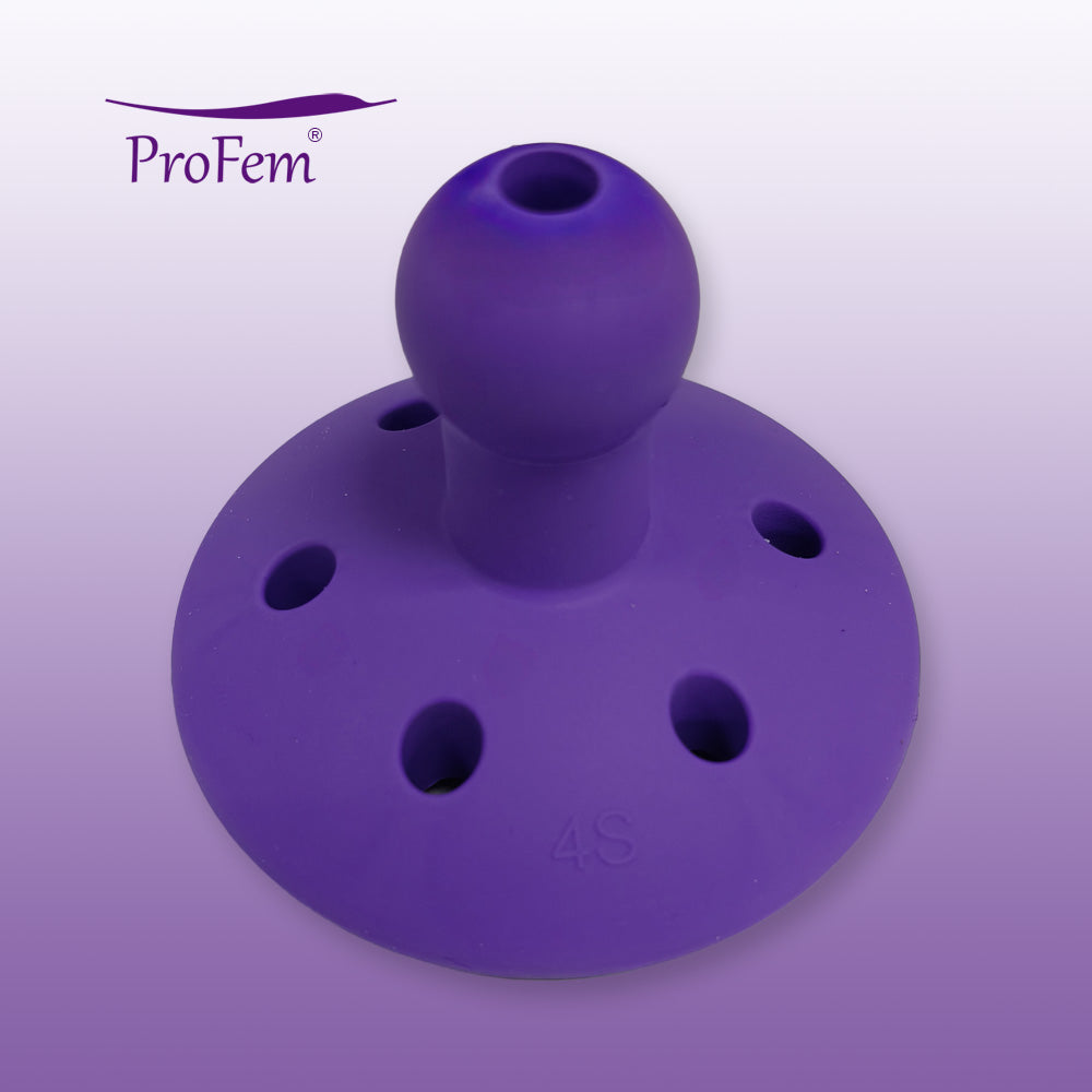 Additional Pessaries Add-on FS-Gellhorn - short version