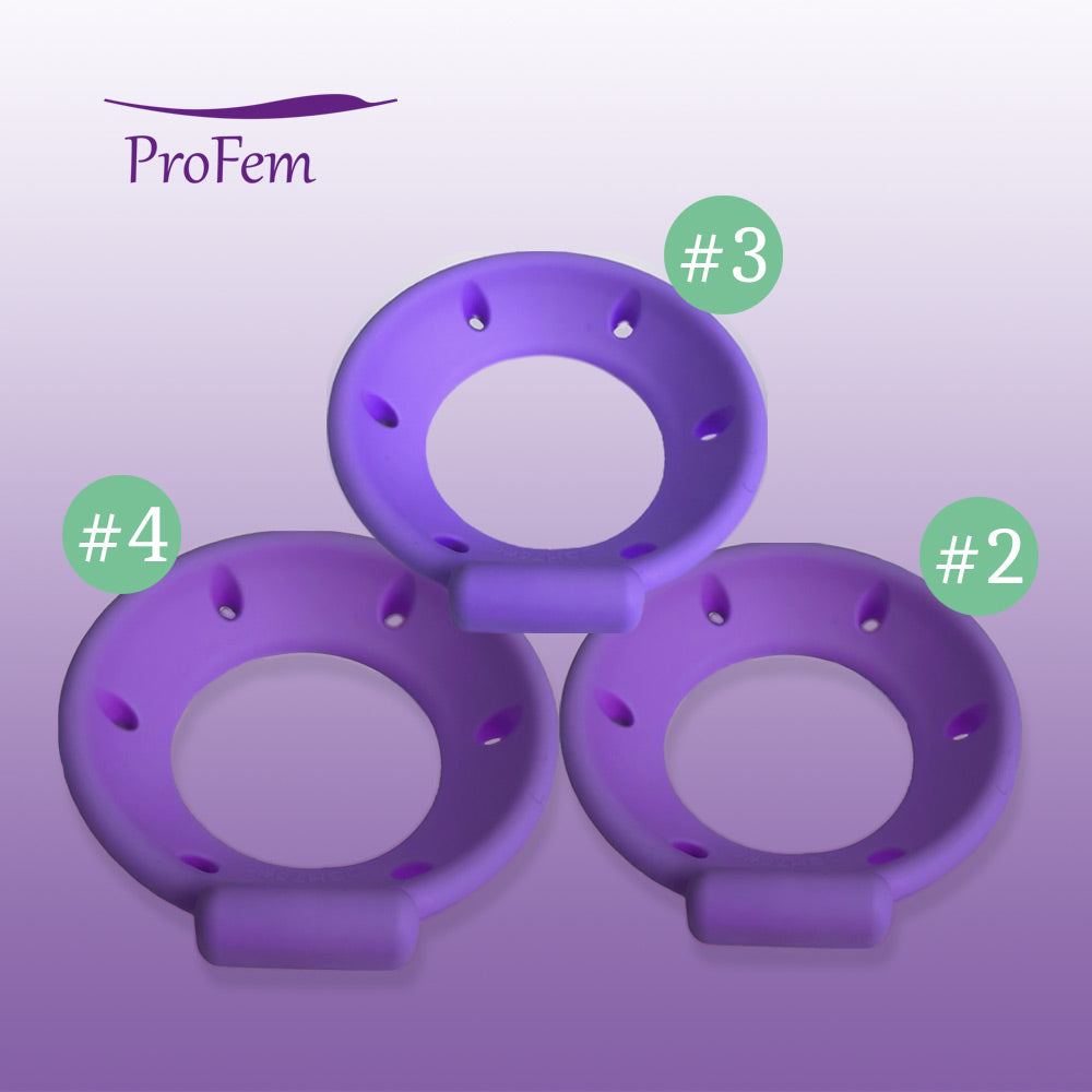 Module complémentaire FS-Dish