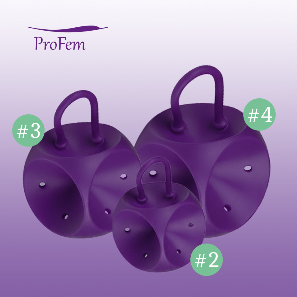 Module complémentaire FS-Cube