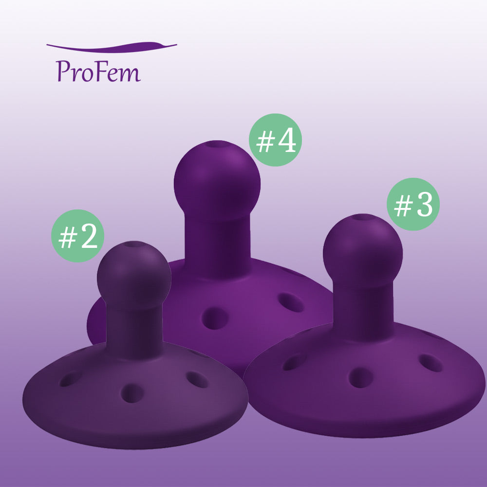 Module complémentaire FS-Gellhorn - version courte